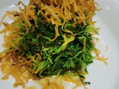 巧拌豆苗-四季民福烤鸭店(王府井灯市口店)