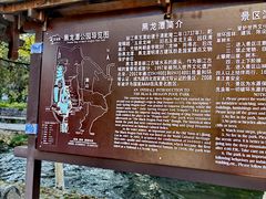 -黑龙潭公园