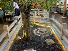 -三凤酒家·百年无锡菜(清扬茂业店)