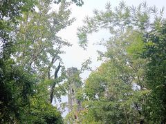 -上海佘山国家森林公园天马山园