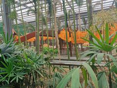 -呀路古热带植物园
