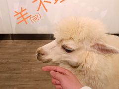 -正佳自然科学博物馆