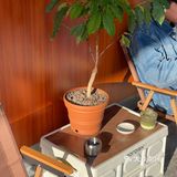 松岗唯一一家精品咖啡馆