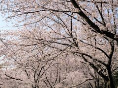 -苏州上方山国家森林公园