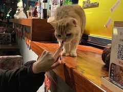 -咖法森林·咖啡  酒吧(天河店)