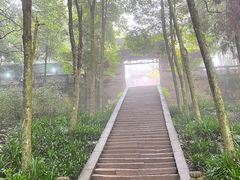 -青城山