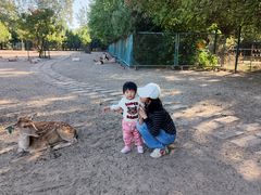 -北京麋鹿生态实验中心