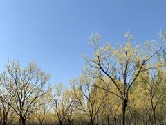 -东郊湿地公园