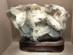 -浙江自然博物院(杭州馆)