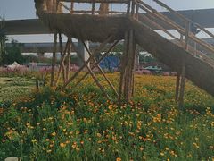 -秀丽东方