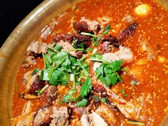 -张翻越·川渝冒菜·武汉黑鸭煲(城北万象城店)