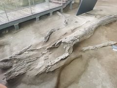 -金沙遗址博物馆