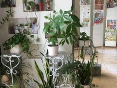-熊猫邮局(少城店)