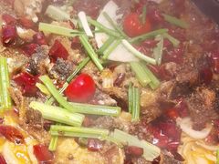 -老板恋上鱼(恒隆广场店)