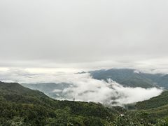 -大余丫山旅游度假区