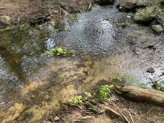 -白水寺森林公园