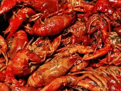 瞿记卤虾-聚味瞿记·龙虾堂(天元店)