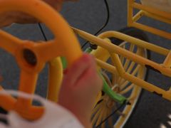 -合肥滨湖国家森林公园