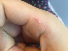 -星海汇海鲜自助烤肉火锅(百大店)