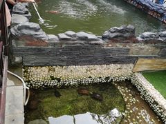 -千年银杏谷文化旅游区