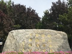 -北京国家会计学院