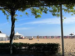 -碧海金沙