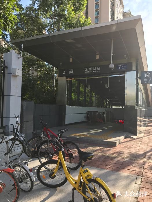 西丽湖(地铁站)图片