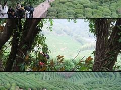 -西湖风景区十里琅珰-五云山