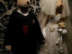 -济州岛泰迪熊博物馆