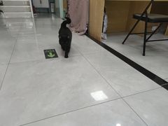 -中农大我爱我爱动物医院·核磁CT·猫病·24小时夜诊中心(石佛营店)