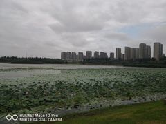 -丁香湖公园