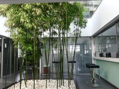 -北京之星奔驰4S店(亦庄店)