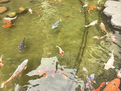 -广州花园酒店