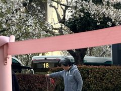 -上海南浦大桥长途旅游客运站