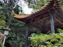 -广州兰圃