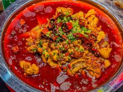 -美蛙四季(黄寺大街店)