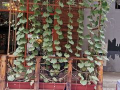 -MOJO密室逃脱(中街旗舰店)