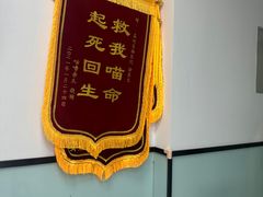 -嘉馨宠物医院·CT影像转诊·心脏科·犬猫全科诊疗中心(下沙大学城院区)