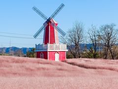 -羊亭河湿地公园