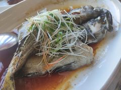 清蒸老虎斑-大树头·花园餐厅(市桥店)