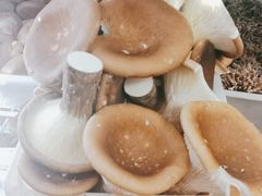 -畲乡一品鱼府土菜馆