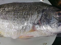 -浦商菜市场·锦德店