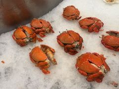 -索菲特酒店·海鲜自助 ·聚餐厅