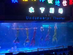 -泉城欧乐堡海洋极地世界