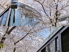 -上海南浦大桥长途旅游客运站