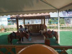 -萌宠亲子动物乐园(槐房万达店)