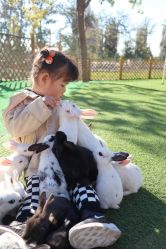 -萌宠亲子动物乐园(槐房万达店)