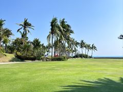 -亚龙湾喜来登·美景台大堂吧