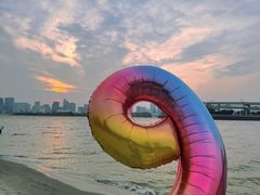 -台场海滨公园船码头