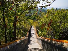 -妙峰山风景名胜区